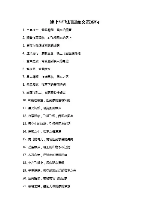 晚上坐飞机回家文案短句