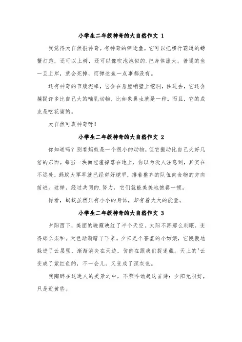 大自然的神奇二年级作文