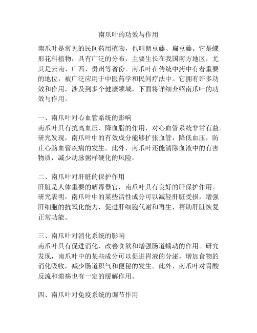 南爪叶的功效与作用