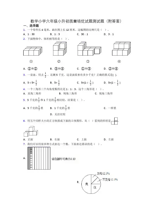 数学小学六年级小升初质量培优试题测试题(附答案)