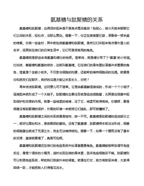 氨基糖与肽聚糖的关系