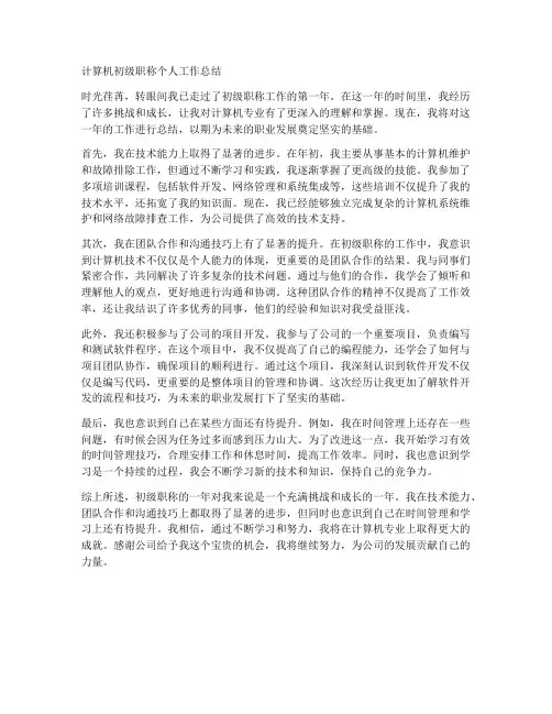 计算机初级职称个人工作总结