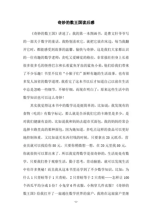 奇妙的数王国读后感
