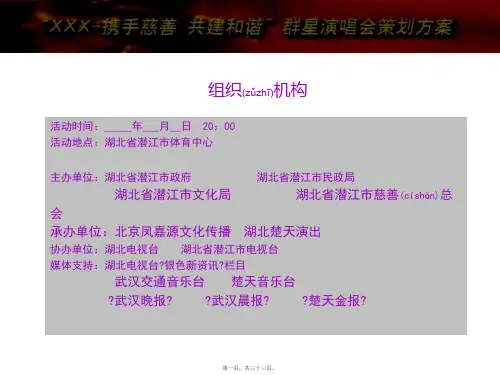 群星演唱会策划方案(PPT)
