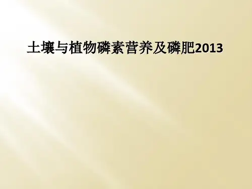 土壤与植物磷素营养及磷肥2013