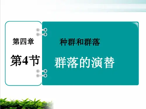 人教版生物必修一群落的演替PPT完整版