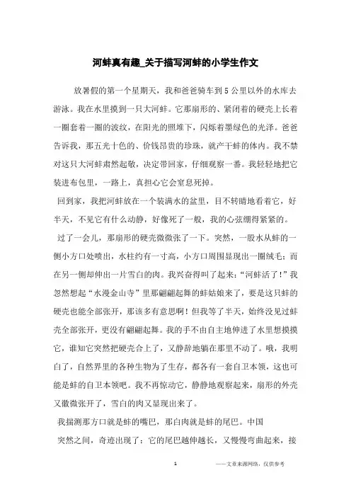 河蚌真有趣_关于描写河蚌的小学生作文_小学生