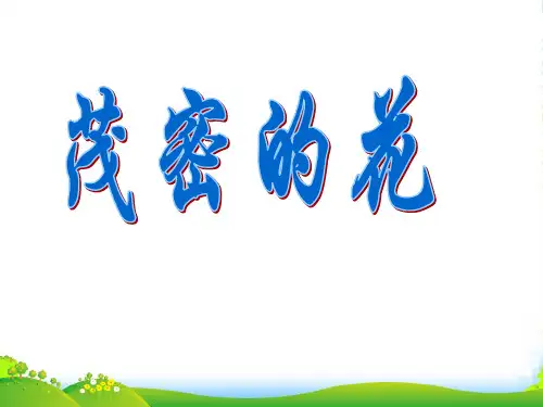 二年级美术下册 茂密的花3课件 人美版