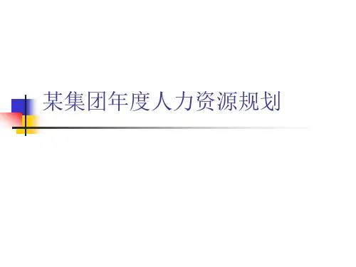 国内某著名IT公司人力资源规划实例