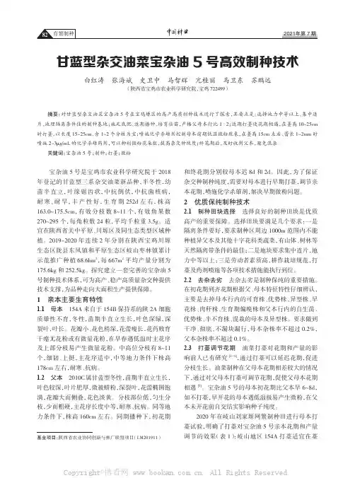 甘蓝型杂交油菜宝杂油5 号高效制种技术