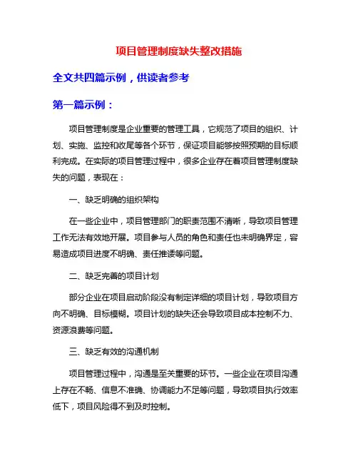 项目管理制度缺失整改措施