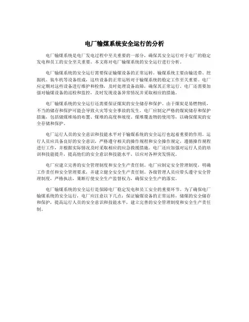 电厂输煤系统安全运行的分析