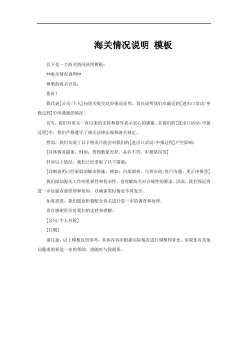 海关情况说明 模板