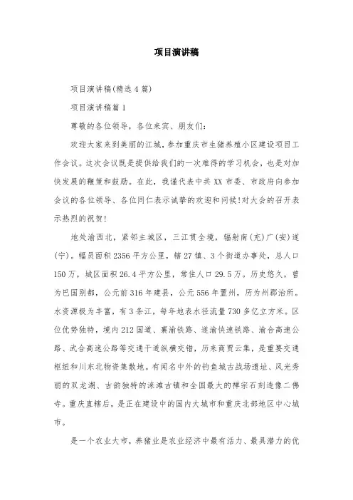 项目演讲稿