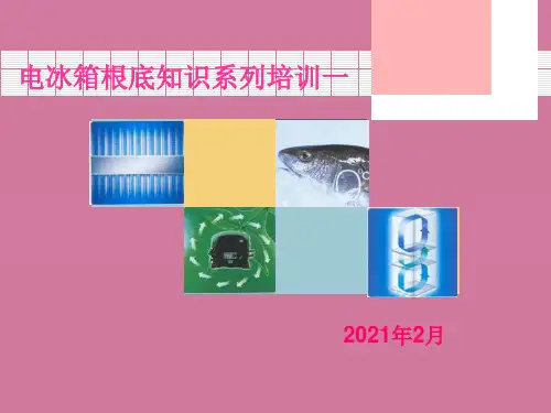 《电冰箱基础知识》系列培训一ppt课件