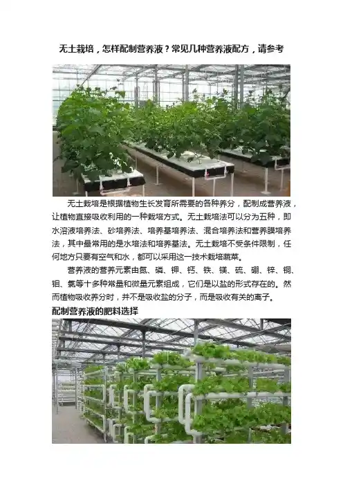 无土栽培，怎样配制营养液？常见几种营养液配方，请参考