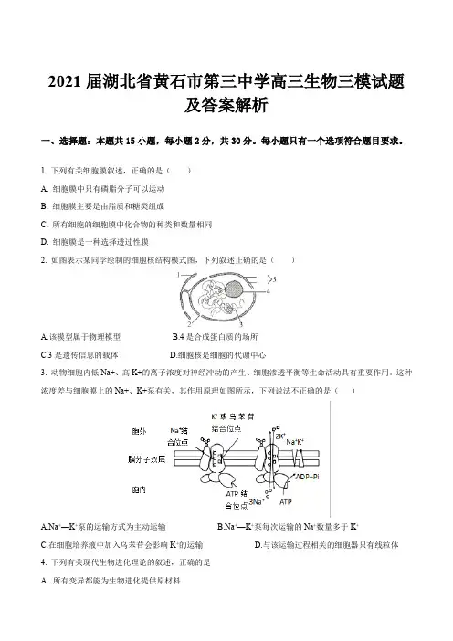 2021届湖北省黄石市第三中学高三生物三模试题及答案解析