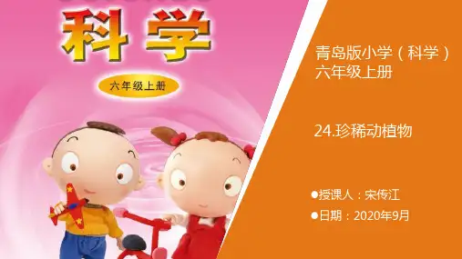 青岛版科学六年级上册《24.珍稀动植物》教学课件