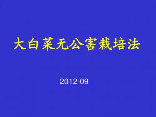 大白菜无公害栽培(教学课件)