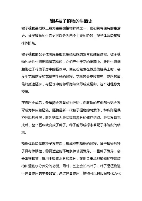 简述被子植物的生活史