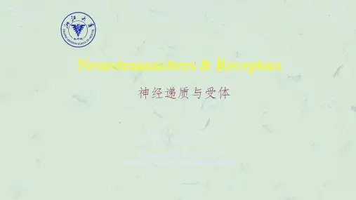 高级生理学-神经递质与受体(下)课件