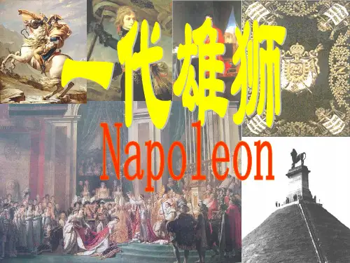 高中历史人教版选修四 第三单元第三课 一代雄狮拿破仑 课件新版