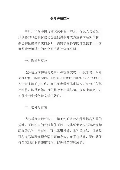 茶叶 种植 技术