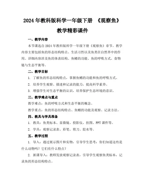 2024年教科版科学一年级下册《观察鱼》教学精彩课件