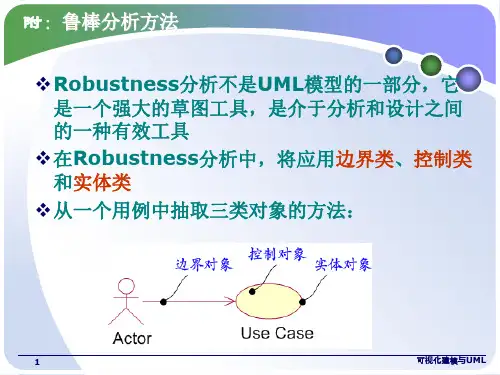 鲁棒分析方法