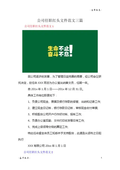 公司任职红头文件范文三篇【精华版】