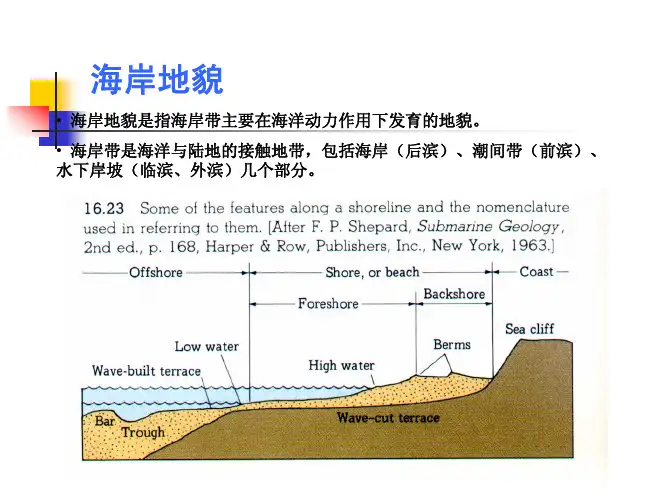 海岸地貌