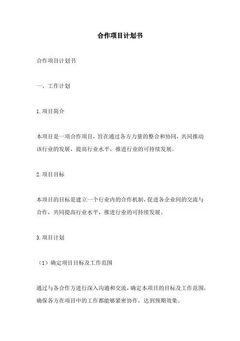 合作项目计划书