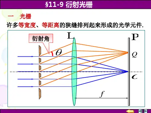 11-09衍射光栅PPT精品文档30页