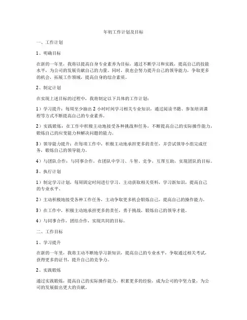 年初工作计划及目标