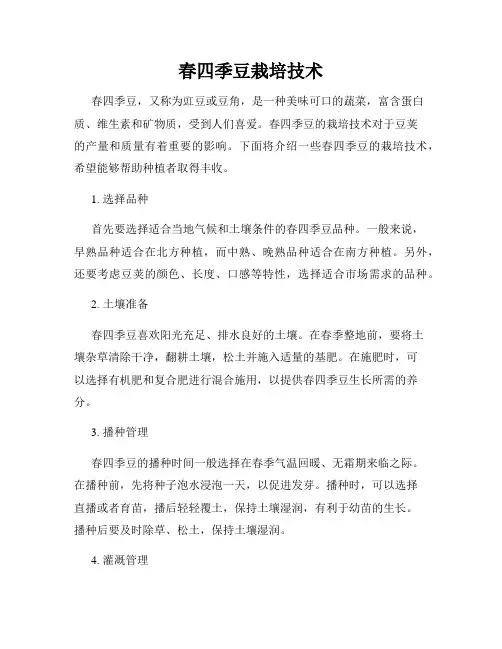 春四季豆栽培技术