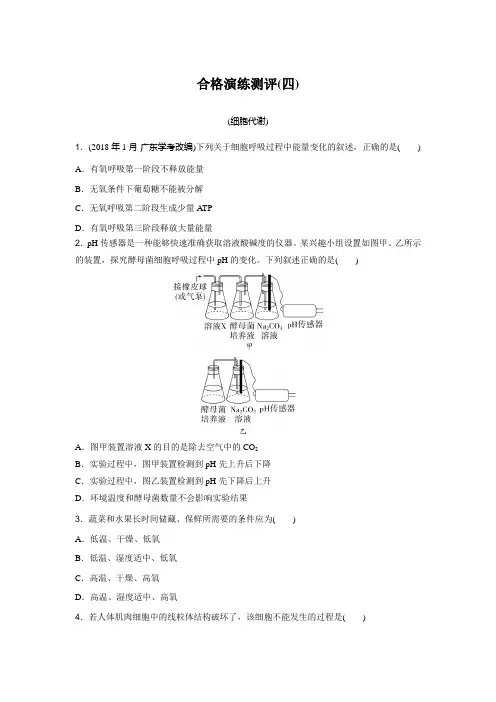 2024年广东普通高中生物学业水平合格性考试合格演练测评(四)含答案