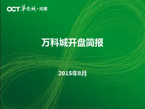 成都万科城开盘报告(详细版)