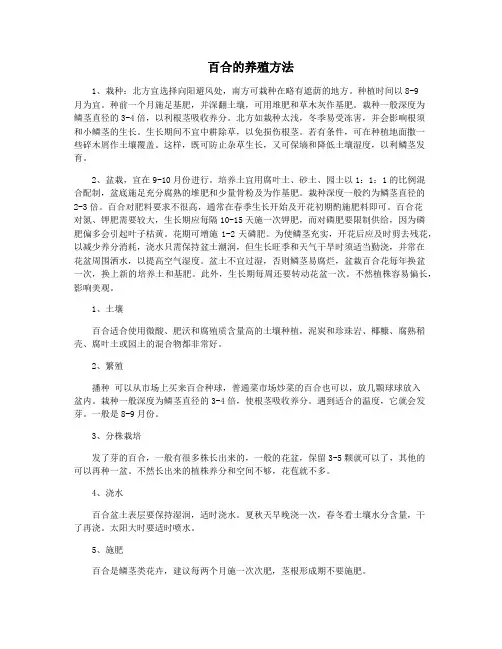 百合的养殖方法
