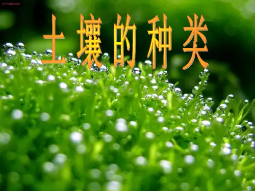 土壤的种类
