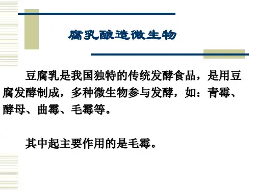 豆腐乳的制作原理与方法ppt课件