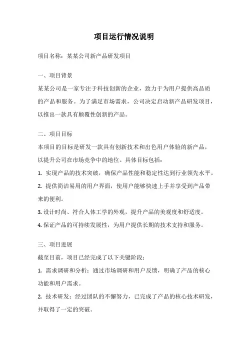 项目运行情况说明