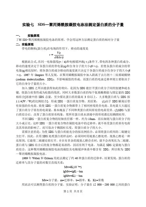 生化实验七 SDS一聚丙烯酰胺凝胶电泳法测定蛋白质的分子量