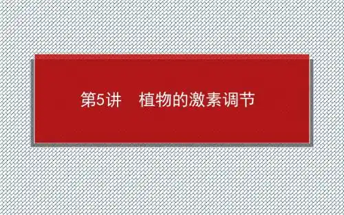 2015届高考生物新课标一轮复习全方位讲解课件3.1.5