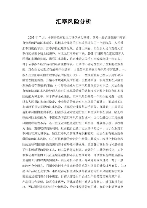 汇率风险分析