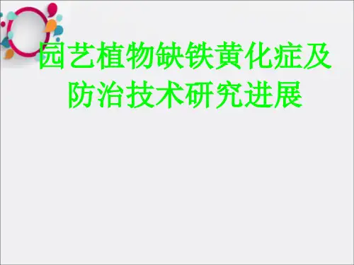 果树铁营养研究进展讲