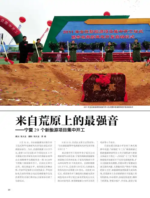 来自荒原上的最强音——宁夏29个新能源项目集中开工