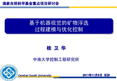基于机器视觉的矿物浮选过程建模与优化控制