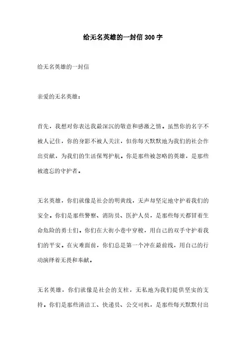 给无名英雄的一封信300字