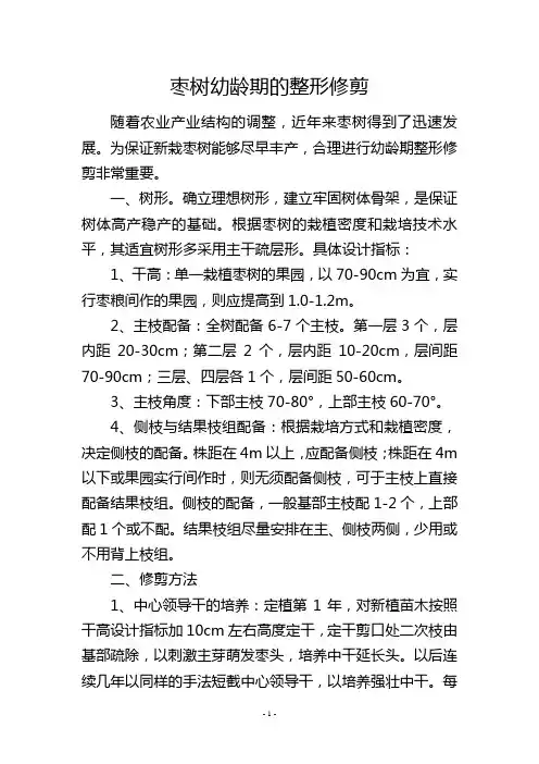 枣树幼龄期的整形修剪