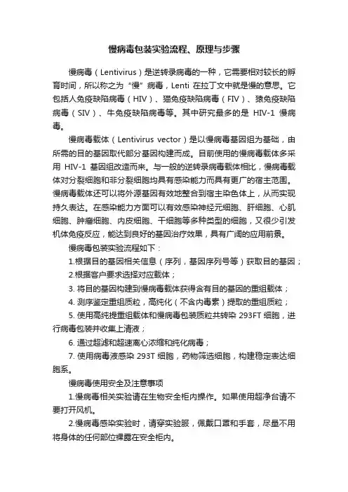 慢病毒包装实验流程、原理与步骤